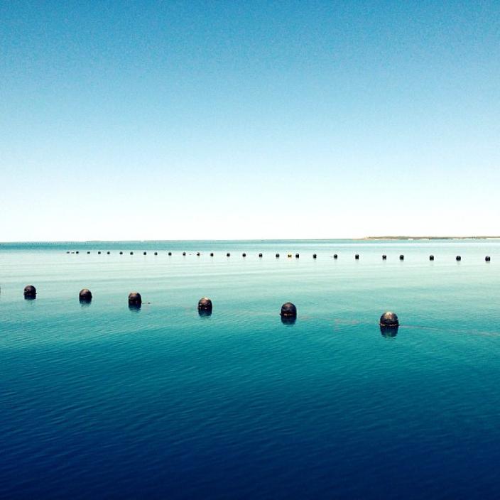 An oceanscape. 